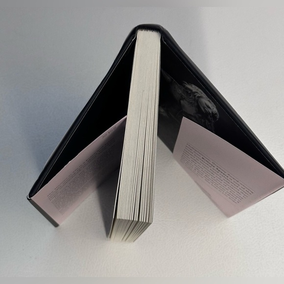 ✨ Britney Spears The Woman in Me book - Picture 8 of 8